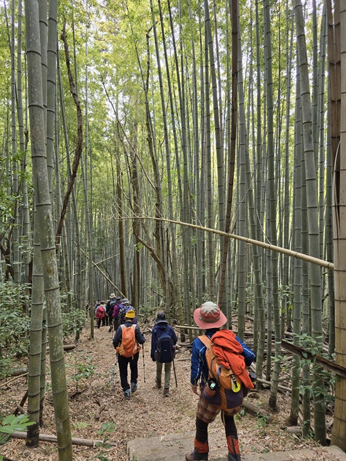 ＪＲ山行　十禅寺山（玉野市）