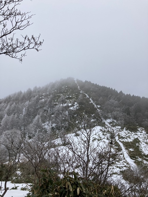 バス山行　泉山(1,208.7m)（鏡野町）