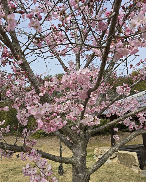 ＪＲ山行　竹原アルプス～東山・おおば山・鎮ヶ山・鎮海山